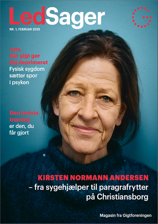 Front cover of LedSager magazine from February 2025.